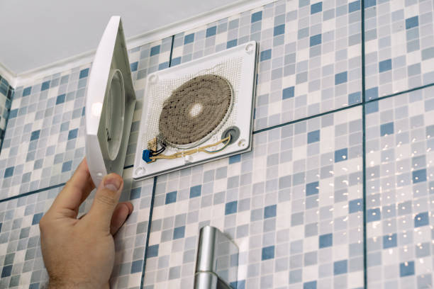 Best Home Air Vent Cleaning  in Viola, IL