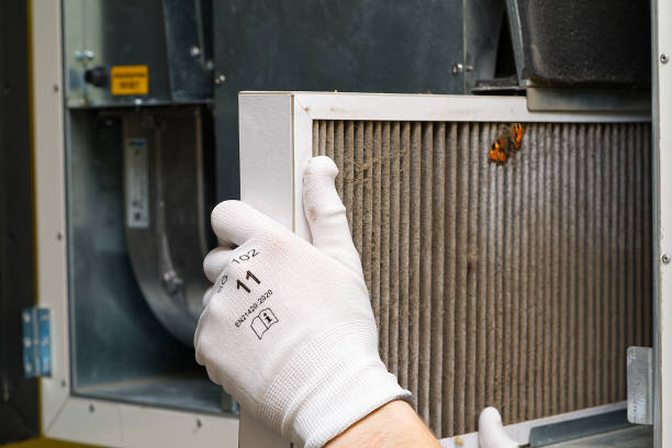 Best Affordable Duct Cleaning Services  in Viola, IL