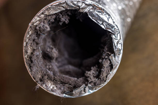 Best Affordable Air Duct Cleaning  in Viola, IL