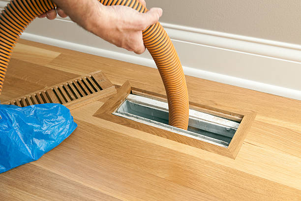 Best Air Duct Sanitizing Services  in Viola, IL